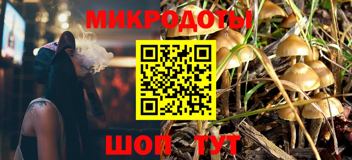 Сунжа  Галлюциногенные грибы мухоморы  Вход с VPN  Галлюциногенные грибы ЛСД 
