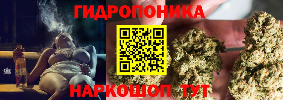 Сунжа  МАРИХУАНА семена  Канабис LSD WEED  Вход с VPN 